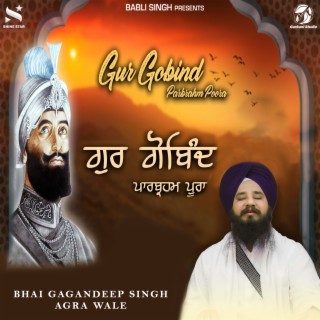 Bhai Gagandeep Singh Agra Wale