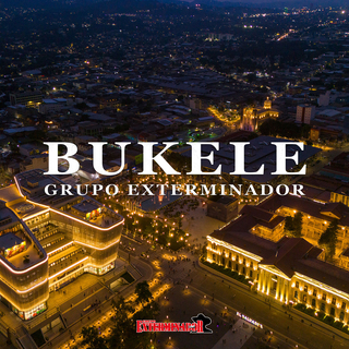 Bukele