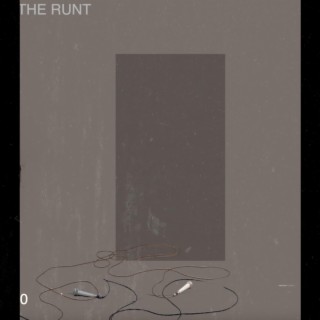 The Runt lyrics | Boomplay Music