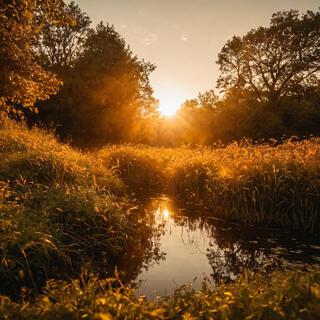 Golden Hour Glow