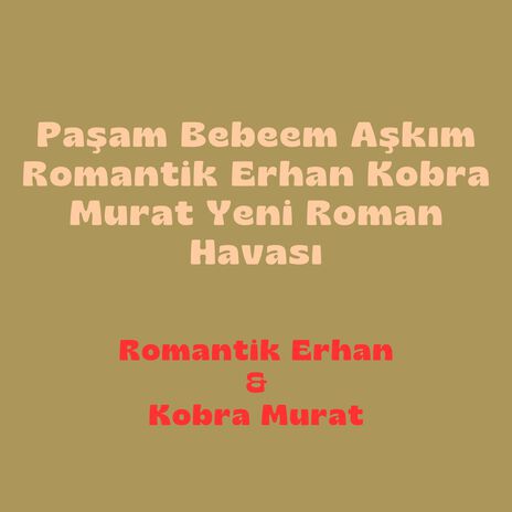 Paşam Bebeem Aşkım Romantik Erhan Kobra Murat Yeni Roman Havası | Boomplay Music