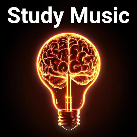 Studying Music for Focus | Boomplay Music