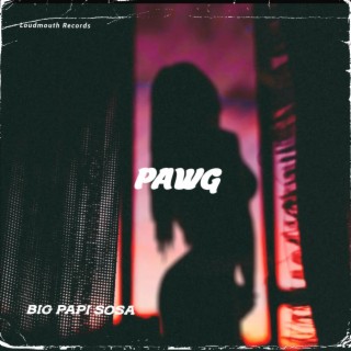 PAWG | Boomplay Music