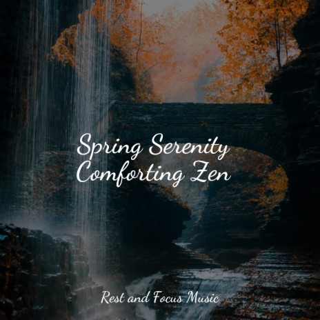 Spring Songs | Boomplay Music