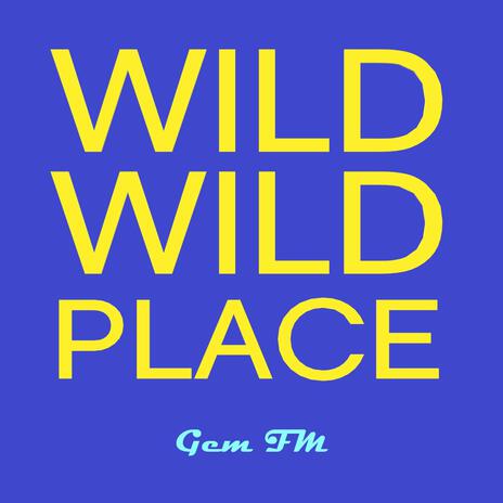 Wild Wild Place