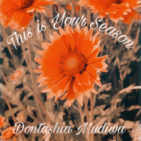 This Is Your Season | Boomplay Music