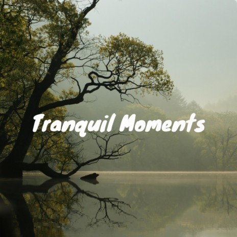 Tranquil Moments | Boomplay Music