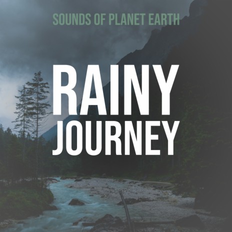 Music of Dreamy Rainforest With Birds and Distant Thunder Storm
