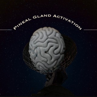 Pineal Gland Activation / Open Your Third Eye And Enter New Dimensions