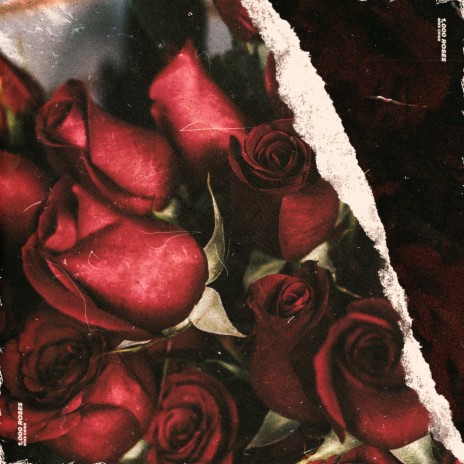 1,000 Roses | Boomplay Music