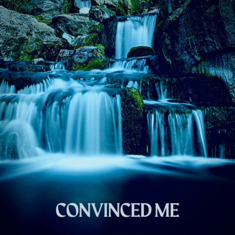 Convinced Me | Boomplay Music