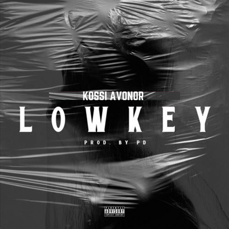 Lowkey | Boomplay Music