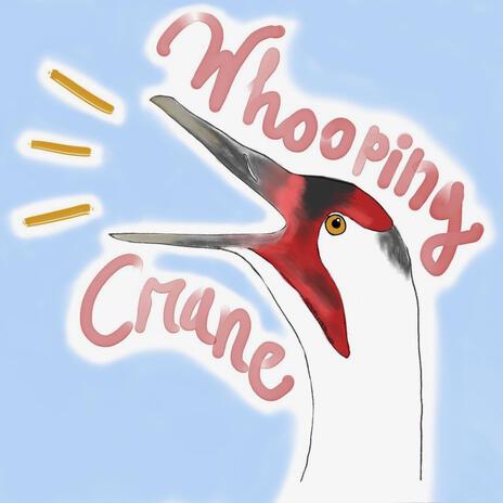 Whooping Crane | Boomplay Music