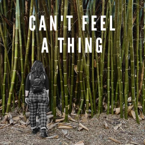 Can't Feel a Thing | Boomplay Music