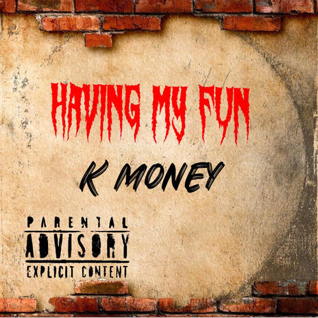 HAVING MY FUN | Boomplay Music