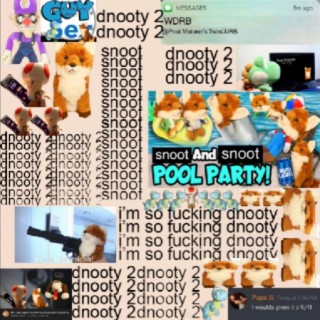 dnooty 2