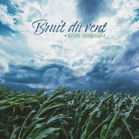 Bruit du vent