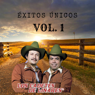 Éxitos Únicos Vol. 1