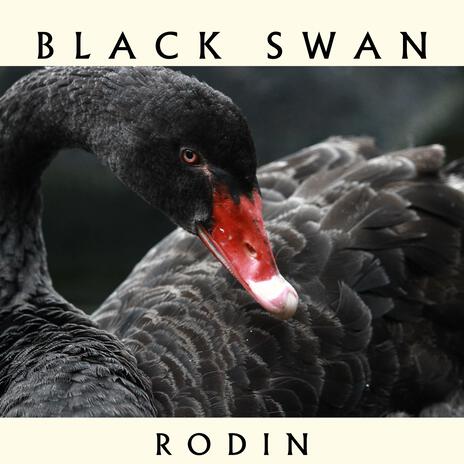 Black Swan | Boomplay Music