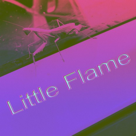 Little Flame