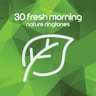 30 Fresh Morning Nature Ringtones: Wake Up & Vital Energy, Monday Motivation, Alarm Sounds, Breakfast & Coffee Time