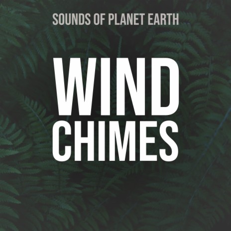 Spanish Wind Chimes with Ocean Waves and Far Thunder