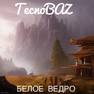 Белое ведро