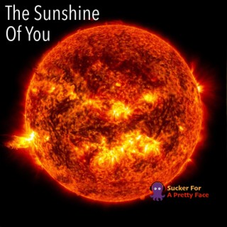The Sunshine Of You lyrics | Boomplay Music