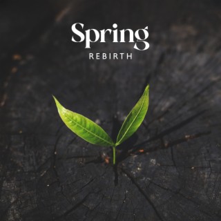 Spring Rebirth