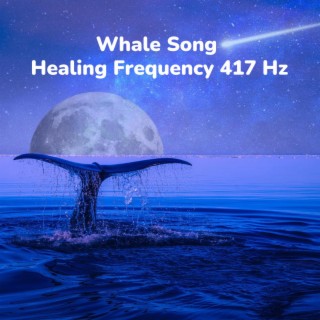 Whale Song Healing Frequency 417Hz