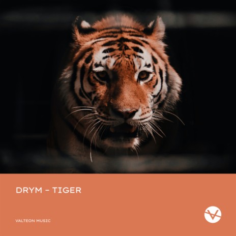 Tiger | Boomplay Music