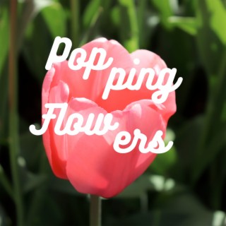 Popping Flowers