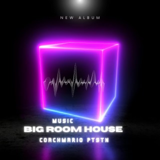 BIG ROOM HOUSE