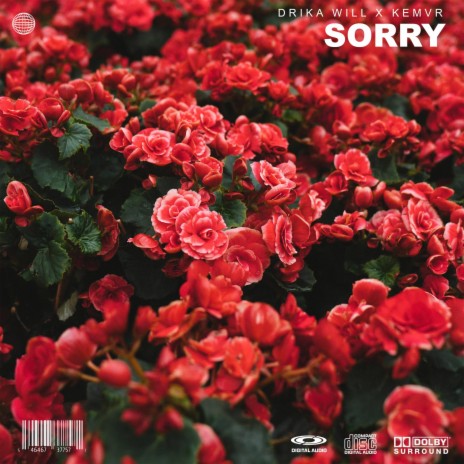 Sorry ft. KEMVR | Boomplay Music