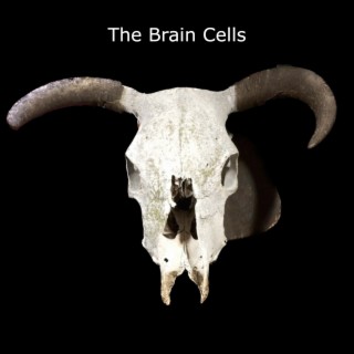 The Brain Cells