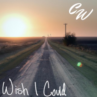 Wish I Could lyrics | Boomplay Music