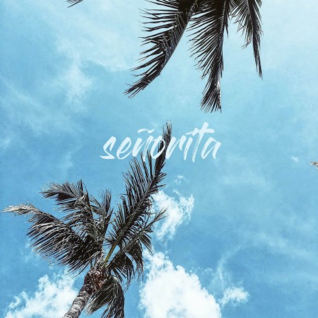 Señorita | Boomplay Music