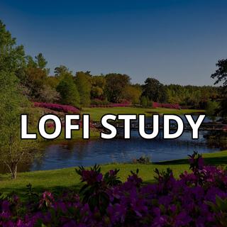 Exam Study LOFI Music Gamma, Brainwave Music for Improved Memory