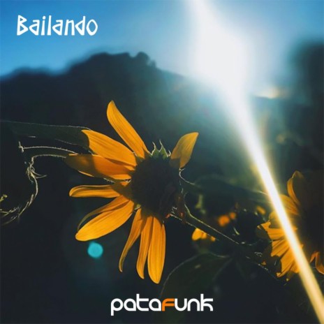 Bailando Acappella | Boomplay Music