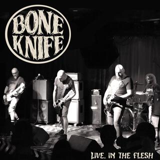 Live, In The Flesh (Live Version)