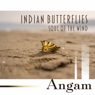 Indian Butterflies: Soul of the Wind, Ancient India, Madhyalaya, Bringing Abundance to the Soul, Shiva Sutra Mystical Indian Healing