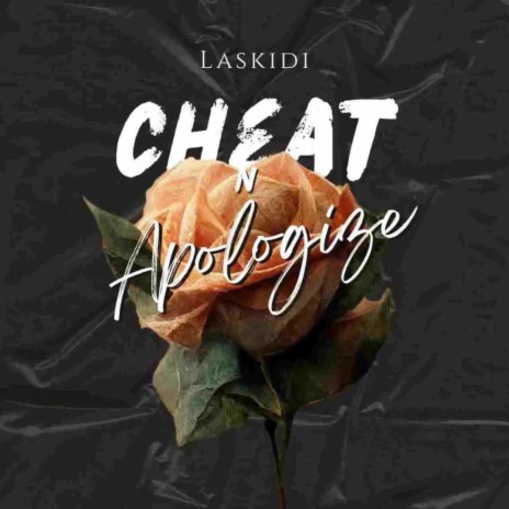 Cheat n Apologize | Boomplay Music