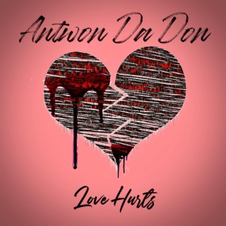Love Hurts (Radio Edit)