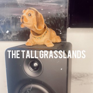 THE TALL GRASSLANDS
