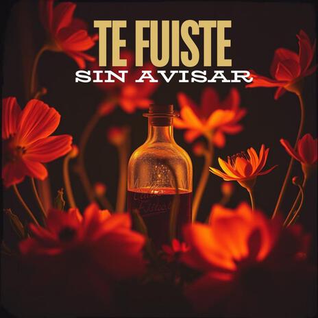 TE FUISTE SIN AVISAR | Boomplay Music