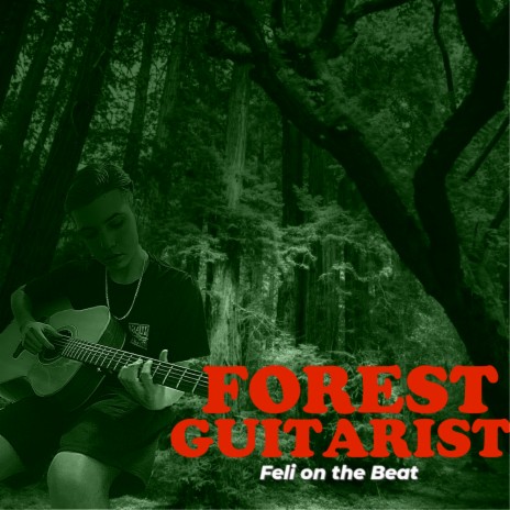 Forest Guitarist-Boom Bap Beat | Boomplay Music