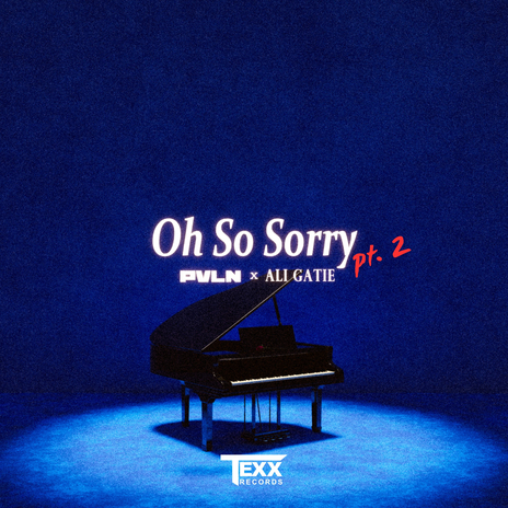 Oh So Sorry Pt. 2 ft. Ali Gatie | Boomplay Music