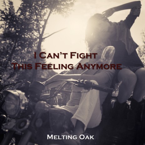 I Can't Fight This Feeling Anymore | Boomplay Music