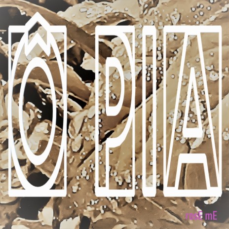 Ô Pia | Boomplay Music