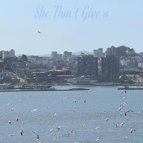 She Don't Give a | Boomplay Music
